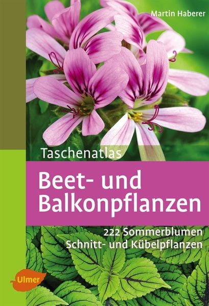 Beet- und Balkonpflanzen