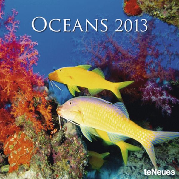 Produktbild: Oceans 2013