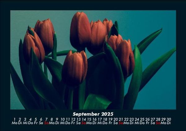 Produktbild: Blumenkalender 2025 Fotokalender DIN A5