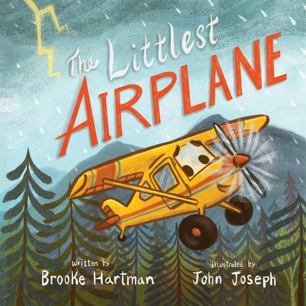 Produktbild: The Littlest Airplane