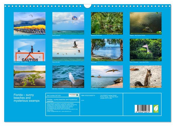 Produktbild: Florida &ndash; sunny beaches and mysterious swamps (Wall Calendar 2026 DIN A3 landscape), CALVENDO 12 Month Wall Calendar