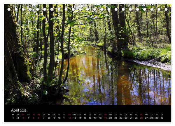 Produktbild: L&uuml;neburg und die L&uuml;neburger Heide (Tischkalender 2026 DIN A5 quer), CALVENDO Monatskalender