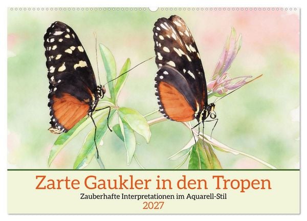 Produktbild: Zarte Gaukler in den Tropen (Wandkalender 2027 DIN A2 quer), CALVENDO Monatskalender