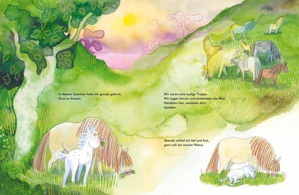 Produktbild: Wild - Ein kleines Pferd braucht Freiheit
