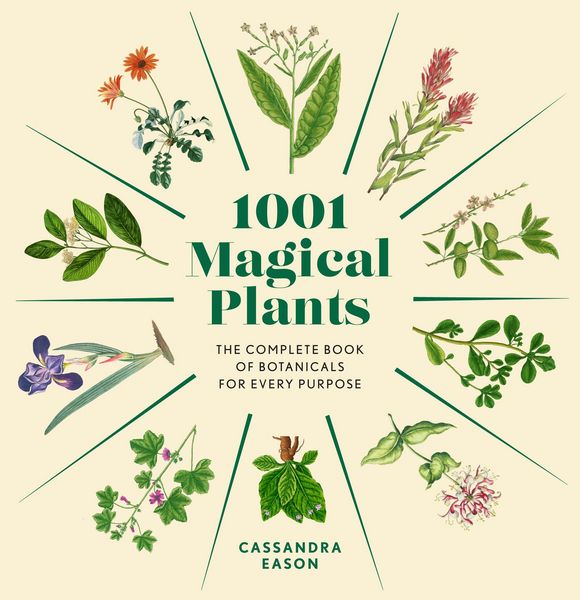 Produktbild: 1001 Magical Plants