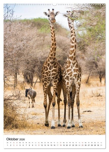 Produktbild: Serengeti Pur - Tansania (Wandkalender 2026 DIN A2 hoch), CALVENDO Monatskalender