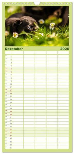 Produktbild: Familienplaner 2026 - M&ouml;pse mit 5 Spalten (Wandkalender, 21 x 45 cm) CALVENDO