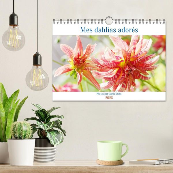 Produktbild: Mes dahlias ador&eacute;s (Calendrier mural 2026 DIN A4 vertical), CALVENDO calendrier mensuel