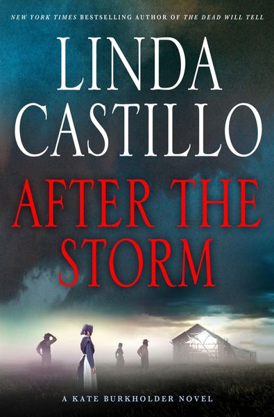 Produktbild: After the Storm