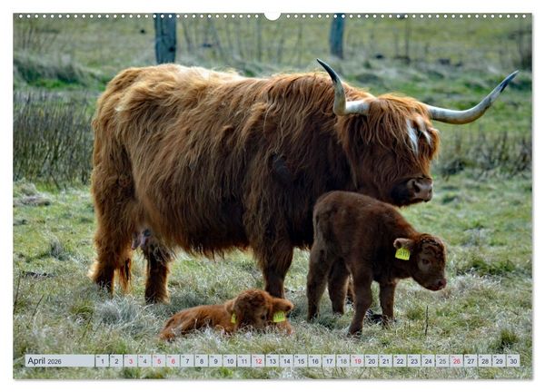 Produktbild: Langeoog - Natur Pur (Wandkalender 2026 DIN A2 quer), CALVENDO Monatskalender
