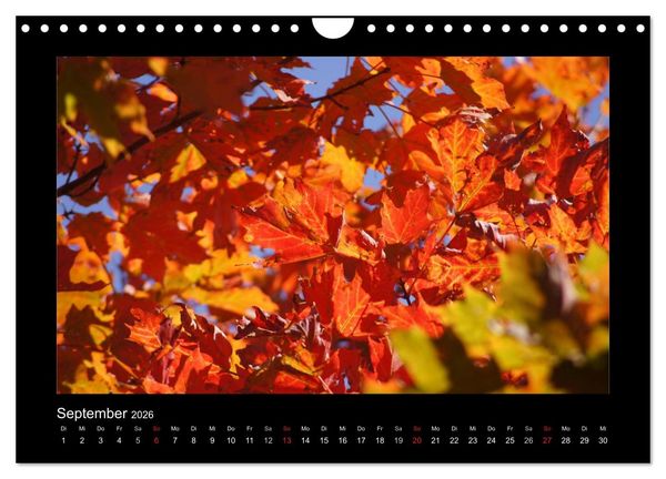 Produktbild: Nova Scotia & Prince Edward Island (Wandkalender 2026 DIN A4 quer), CALVENDO Monatskalender