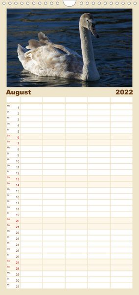Produktbild: Das faszinierende Leben der Schw&auml;ne - Familienplaner hoch (Wandkalender 2022 , 21 cm x 45 cm, hoch)