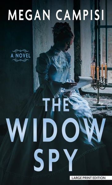 Produktbild: The Widow Spy