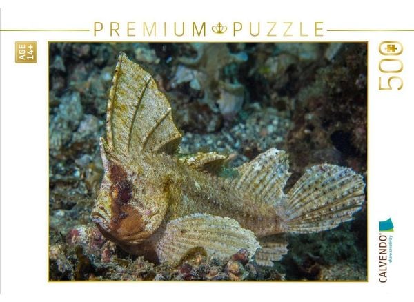 CALVENDO Puzzle Schaukelfisch | 500 Teile Lege-Größe 48 × 36 cm Foto-Puzzle für Erwachsene