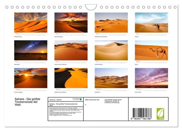 Produktbild: Sahara - Die gr&ouml;&szlig;te Trockenw&uuml;ste der Welt. (Wandkalender 2026 DIN A4 quer), CALVENDO Monatskalender