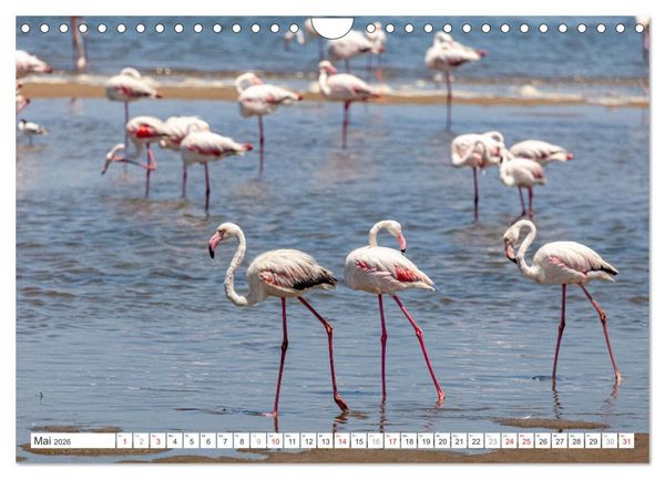 Produktbild: Afrika - Namibia (Wandkalender 2026 DIN A4 quer), CALVENDO Monatskalender