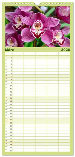 Produktbild: Familienplaner 2026 - Wunderbare Orchideen mit 5 Spalten (Wandkalender, 21 x 45 cm) CALVENDO