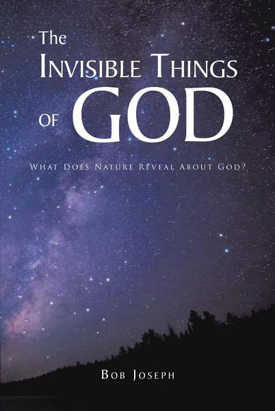 Produktbild: The Invisible Things of God