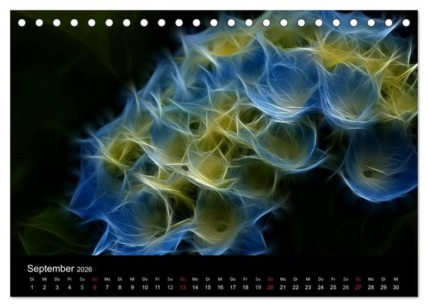 Produktbild: Floral Abstrakt 2026 (Tischkalender 2026 DIN A5 quer), CALVENDO Monatskalender