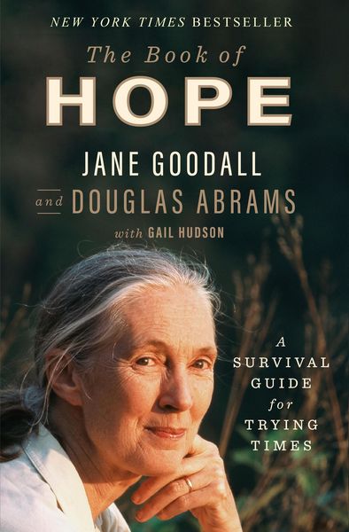 Produktbild: The Book of Hope