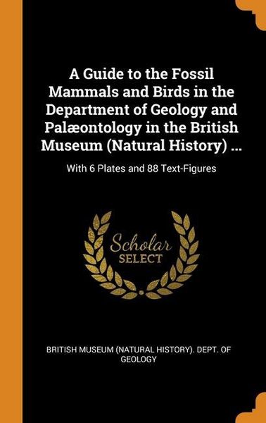 Produktbild: Gt The Fossil Mammals & Birds