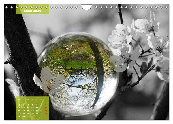 Produktbild: Die bunte Welt in der Kugel - neue Blickwinkel (Wandkalender 2026 DIN A4 quer), CALVENDO Monatskalender