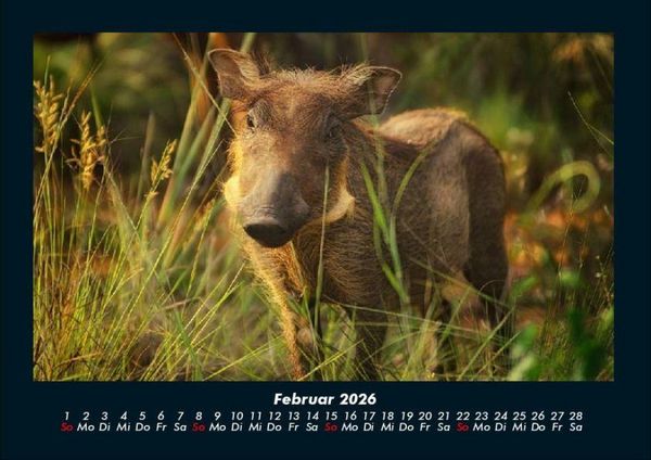 Produktbild: Waldbewohner 2026 Fotokalender DIN A4