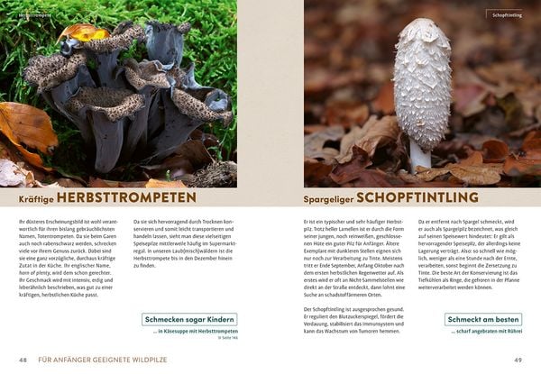 Produktbild: Pilzliebe