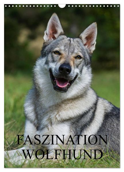Produktbild: Faszination Wolfhund (Wandkalender 2026 DIN A3 hoch), CALVENDO Monatskalender