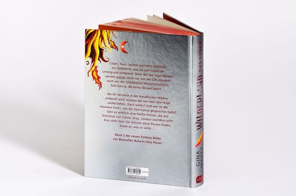 Produktbild: Wilderland &ndash; Das Feuer