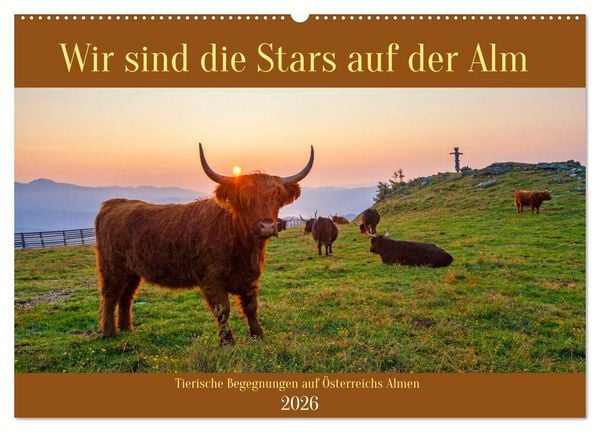 Wir sind die Stars auf der Alm (Wandkalender 2026 DIN A2 quer), CALVENDO Monatskalender