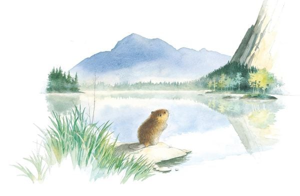 Produktbild: Der kleine Biber und das Echo