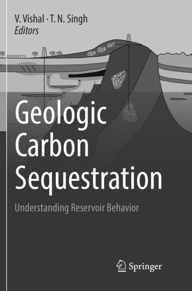 Produktbild: Geologic Carbon Sequestration
