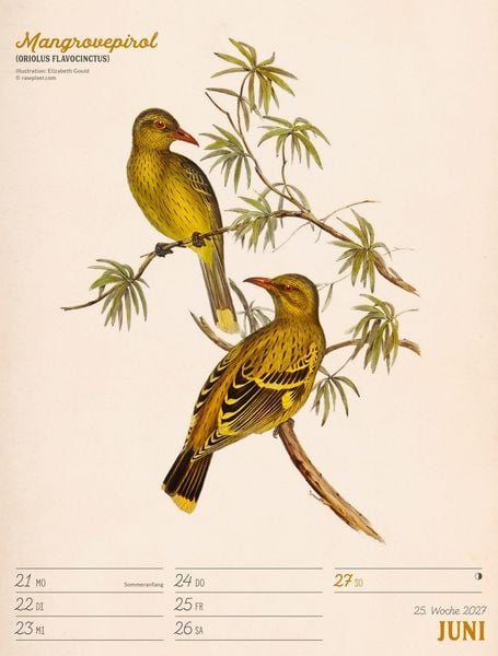 Produktbild: Wunderbare Vogelwelt Wochenplaner Kalender 2027