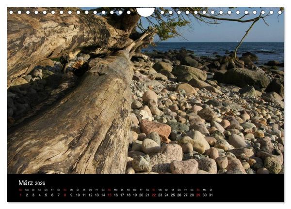 Produktbild: R&uuml;gen (Wandkalender 2026 DIN A4 quer), CALVENDO Monatskalender