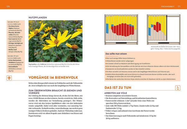 Produktbild: Das Bienenjahr