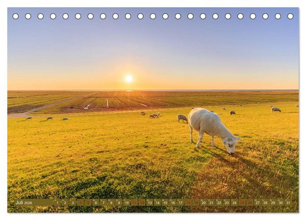 Produktbild: Einmaliges Westerhever (Tischkalender 2026 DIN A5 quer), CALVENDO Monatskalender