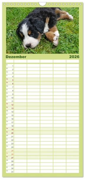 Produktbild: Familienplaner 2026 - Rasselbande mit 40 Pfoten mit 5 Spalten (Wandkalender, 21 x 45 cm) CALVENDO