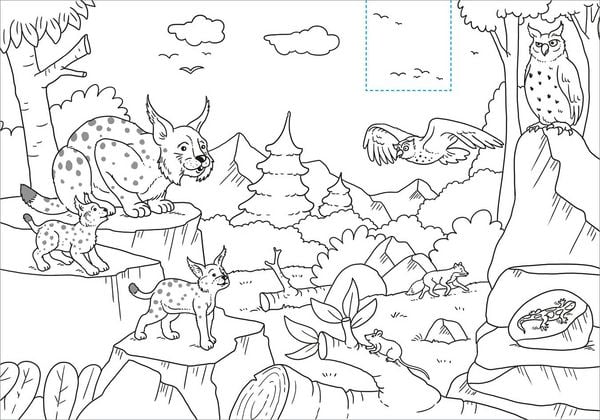 Produktbild: Schnipp Schnapp Malbuch. Wilde Tiere. Was steckt dahinter?