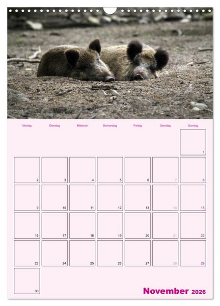 Produktbild: Schweinischer Terminplaner (Wandkalender 2026 DIN A3 hoch), CALVENDO Monatskalender