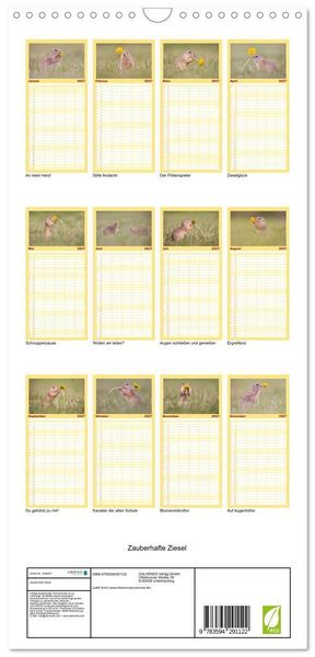 Produktbild: Familienplaner 2027 - Zauberhafte Ziesel mit 5 Spalten (Wandkalender, 21 x 45 cm) CALVENDO