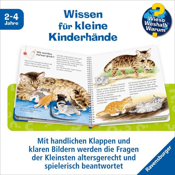 Produktbild: Wieso? Weshalb? Warum? junior, Band 21 - Die Katze