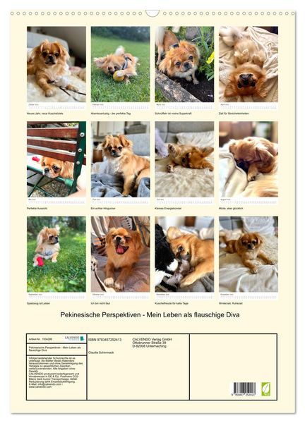 Produktbild: Pekinesische Perspektiven - Mein Leben als flauschige Diva (Wandkalender 2026 DIN A2 hoch), CALVENDO Monatskalender