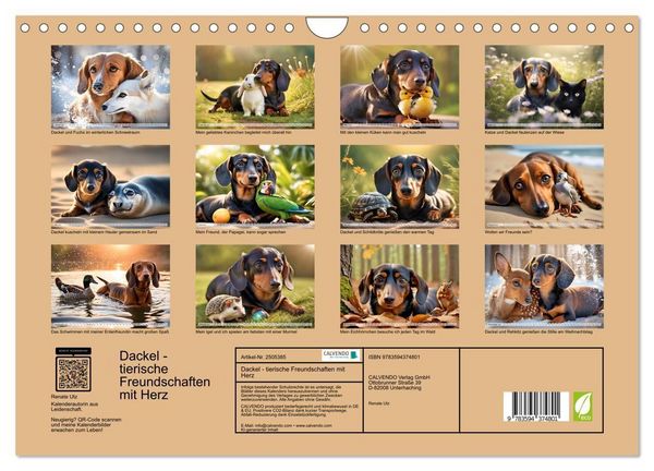 Produktbild: Dackel - tierische Freundschaften mit Herz (Wandkalender 2027 DIN A4 quer), CALVENDO Monatskalender