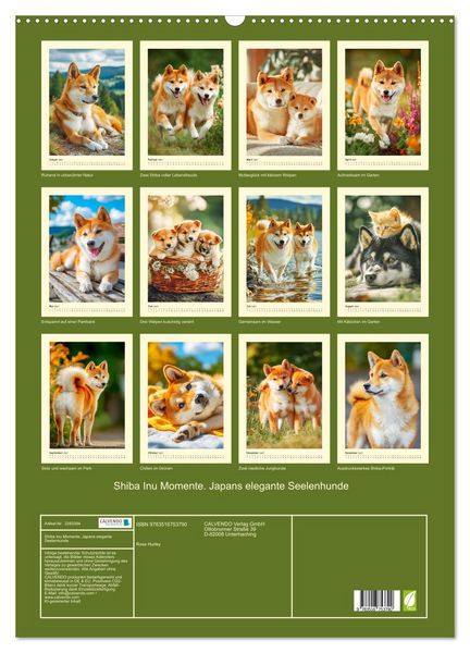 Produktbild: Shiba Inu Momente. Japans elegante Seelenhunde (Wandkalender 2027 DIN A2 hoch), CALVENDO Monatskalender