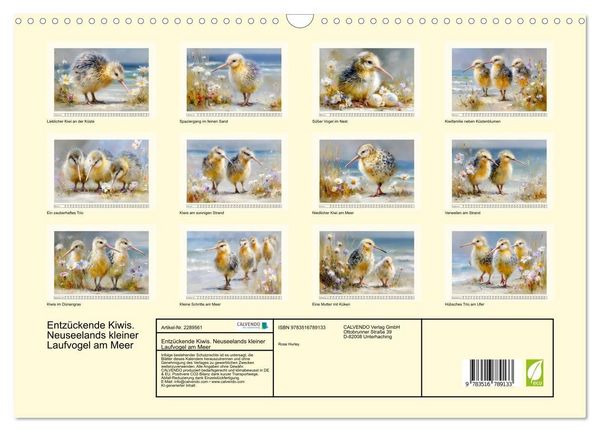 Produktbild: Entz&uuml;ckende Kiwis. Neuseelands kleiner Laufvogel am Meer (Wandkalender 2027 DIN A3 quer), CALVENDO Monatskalender