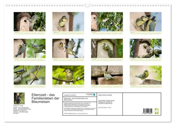 Produktbild: Elternzeit - das Familienleben der Blaumeisen (Wandkalender 2026 DIN A2 quer), CALVENDO Monatskalender