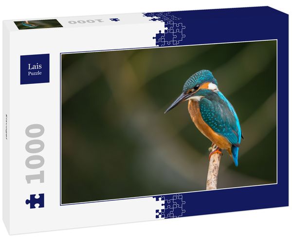 Produktbild: Lais Puzzle Eisvogel 1000 Teile