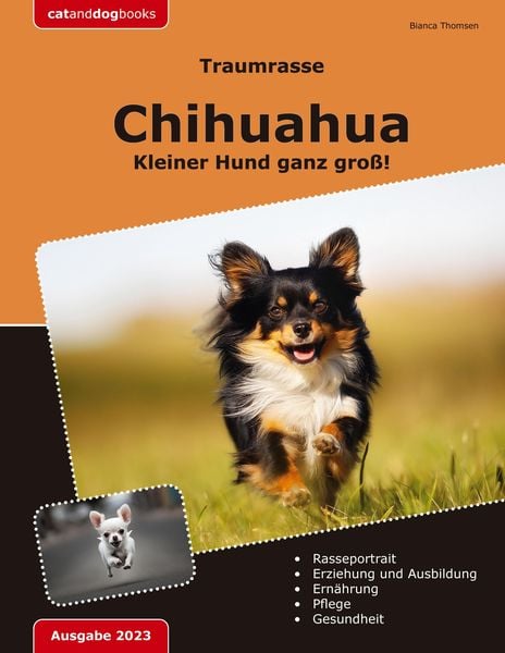 Produktbild: Traumrasse: Chihuahua