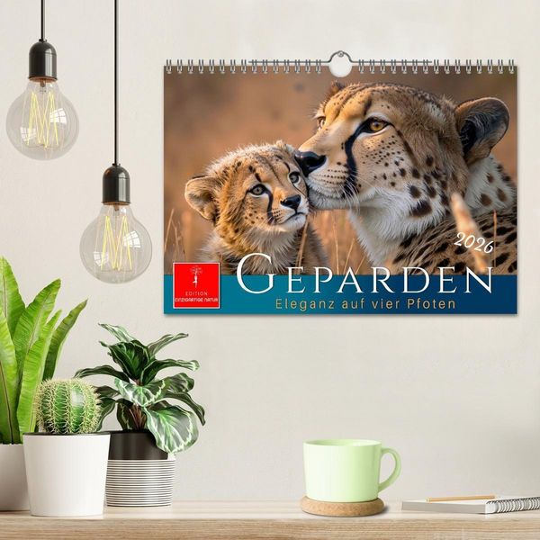 Produktbild: Geparden - Eleganz auf vier Pfoten (Wandkalender 2026 DIN A4 quer), CALVENDO Monatskalender